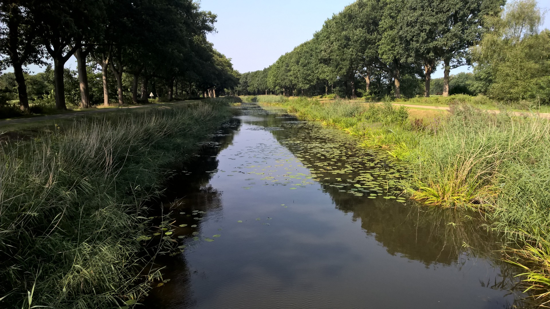 Steuerberatung Nordhorn, Grafschaft Bentheim